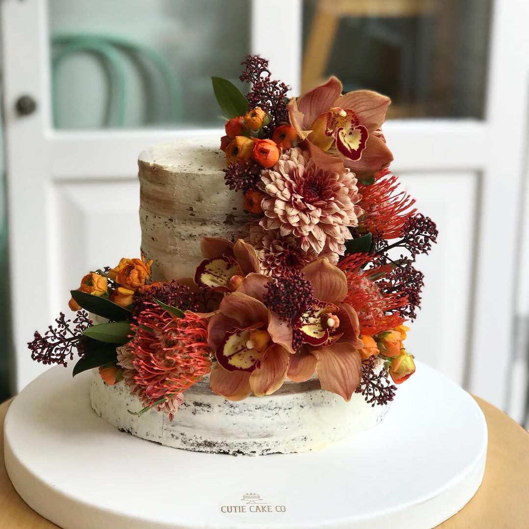 Cutie Cake Co.