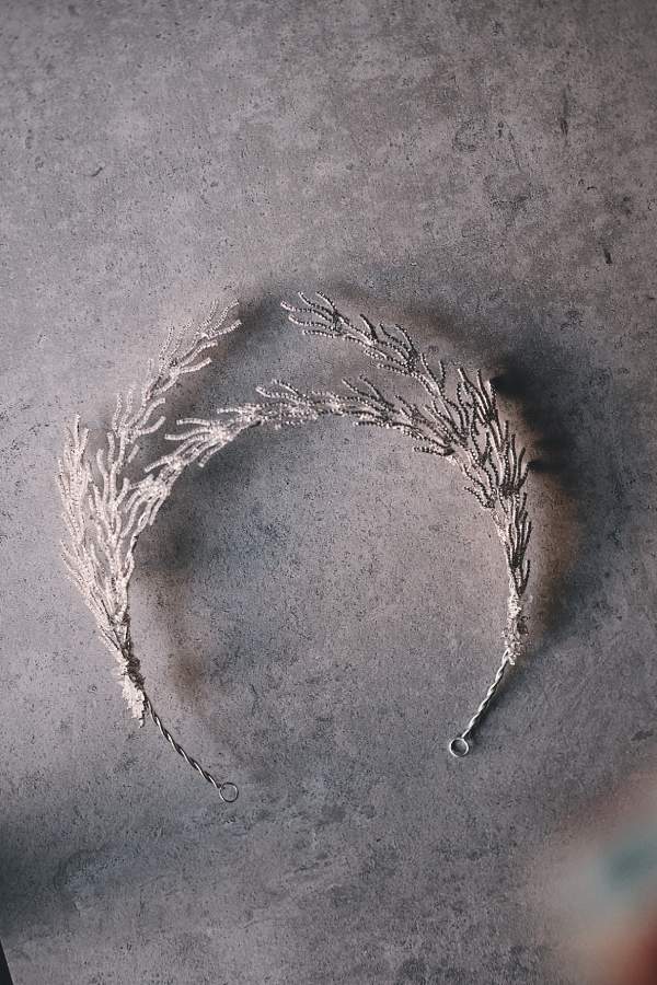 Dandelion Design