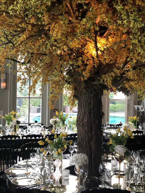 DeLa Events and Weddings