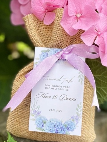 Mousse de Savon