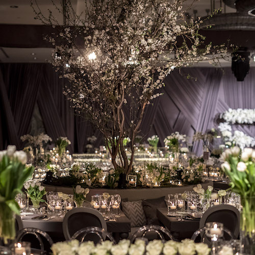 Mywedding by Celebration
